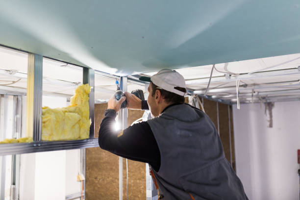 Best Cellulose Insulation in Hilmar Irwin, CA